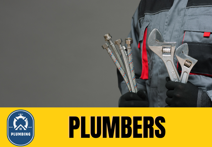 plumber Sutton